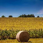 Κατάλυμα σε φάρμα Il Poggio Agrisport Poirino