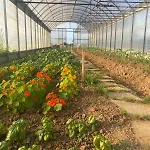 Il Poggio Agrisport Κατάλυμα σε φάρμα