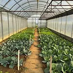 Il Poggio Agrisport Κατάλυμα σε φάρμα *