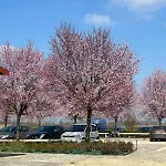 Il Poggio Agrisport * Poirino