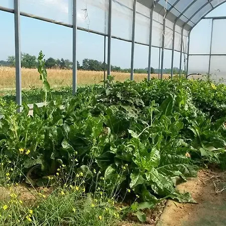 Feriegård Il Poggio Agrisport *