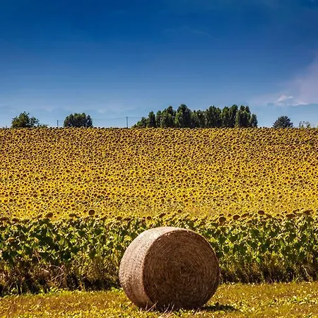 팜스테이 Il Poggio Agrisport 포이리노