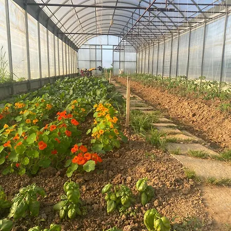 Il Poggio Agrisport Vakantieboerderij
