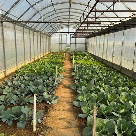 Il Poggio Agrisport Vakantieboerderij *