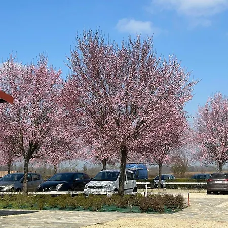 Il Poggio Agrisport * Poirino