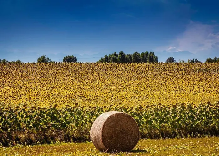 Bauernhof Il Poggio Agrisport Poirino
