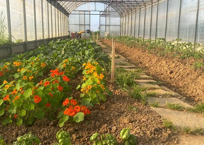 Il Poggio Agrisport Bauernhof
